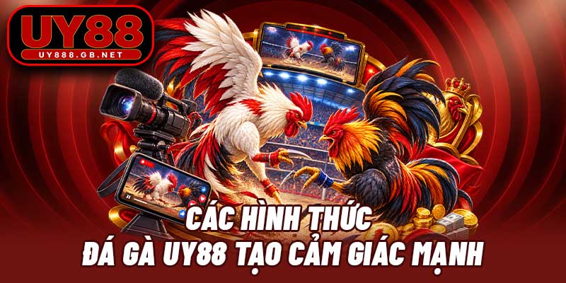 Các hình thức đá gà UY88 tạo cảm giác mạnh