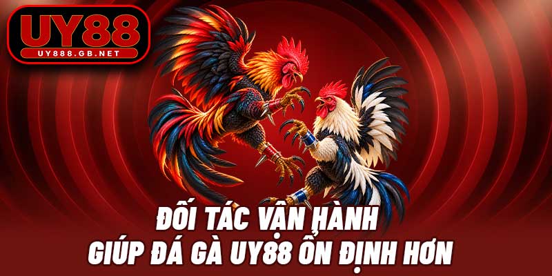 Đối tác vận hành giúp đá gà UY88 ổn định hơn
